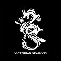 VD Logo